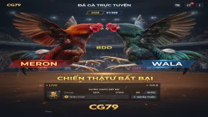 Luật Chơi Đá Gà Trực Tuyến S128 & SV388 Tại CG79 Chi Tiết