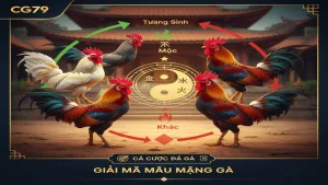 Ý nghĩa của các màu mạng gà trong cá cược đá gà CG79